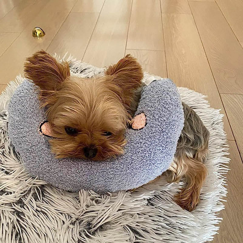 L'oreiller pour chien