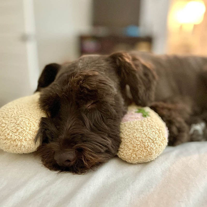 L'oreiller calmant pour chien